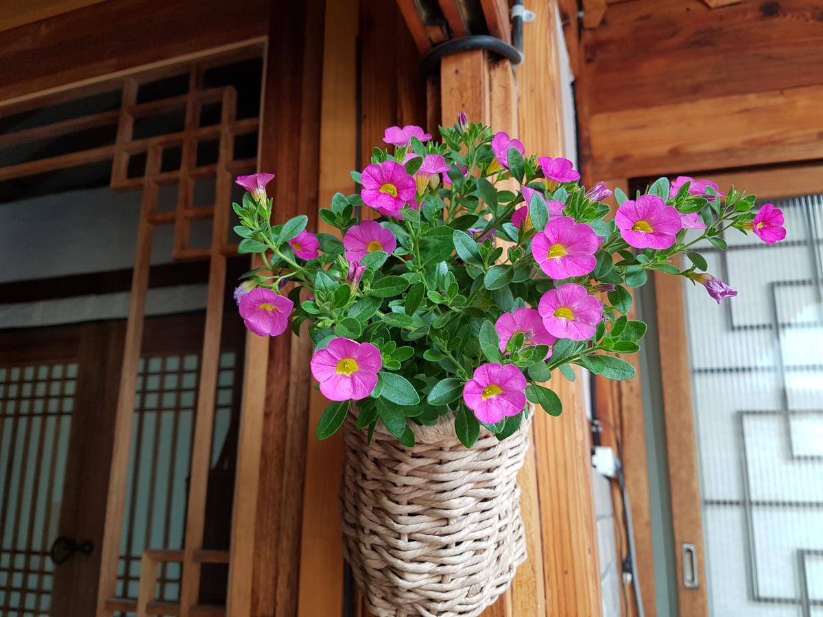 Dajayon Hanok Seoul